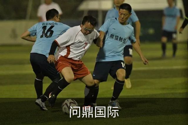 问鼎国际公司简介
